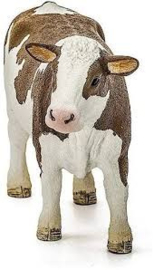 Simmental koe