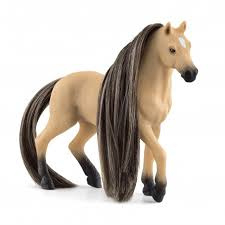 Beauty Horse andalusier merrie