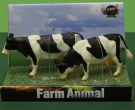 Koe staand zwartbont