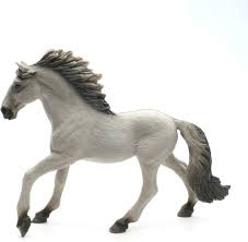 Sorraia Mustang hengst