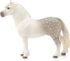 Welsh pony hengst