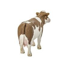 Simmental koe