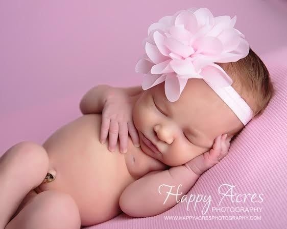 geschiedenis Lezen moeilijk Smalle roze baby haarband met roze toef. | 0 tot 16 maanden / Roze. | Baby  haarbandjes