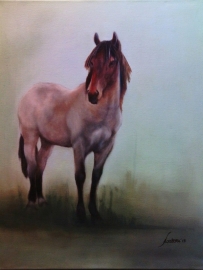 Paardenschilderij 'KWPN x Zeeland Horse'
