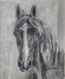 Paardenschilderij 'Rico'