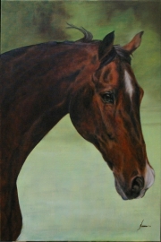 Paardenschilderij 'Qwinto'