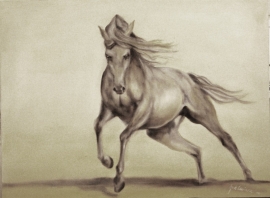 Paardenschilderij 'Desert Storm'