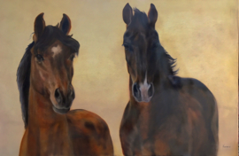 Paardenschilderij 'Disaronno en Cool Spirit'