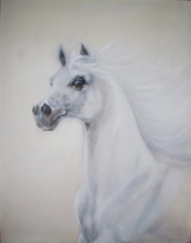 Paardenschilderij 'Escape'
