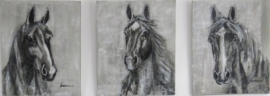 Paardenschilderij 'Drieluik Sharif Bailey Rico'
