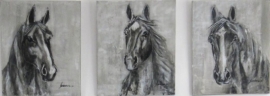 Paardenschilderij 'Sharif'