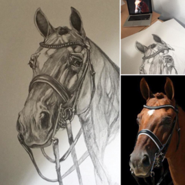 Portrettekening van je paard in grafiet op 200 grams papier 70 x 100 cm