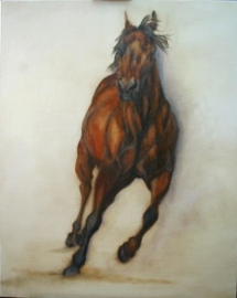 Paardenschilderij 'Quarterhorse Fancy'