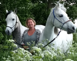 The Art of Counseling with Horses