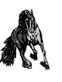 Design Paardentrailer / Horsetruck