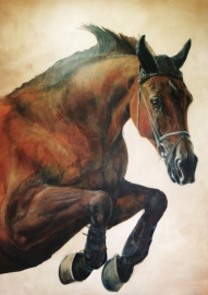 Paardenschilderij 'Grande Dame'