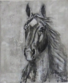 Paardenschilderij 'Bailey'