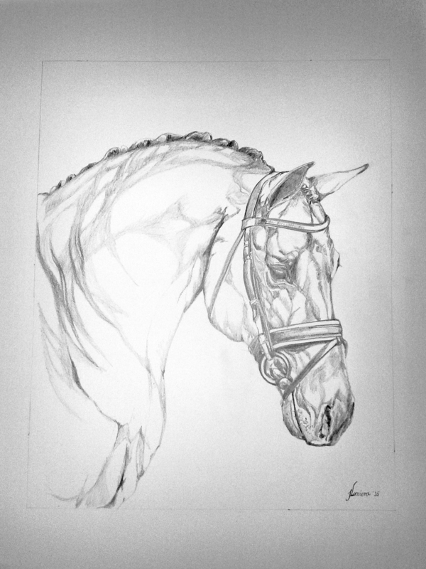 Portrettekening van je paard in grafiet op 200 grams papier 70 x 100 cm