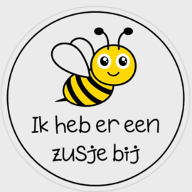 Broertje/zusje bij