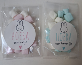 Hoera een zusje/broertje