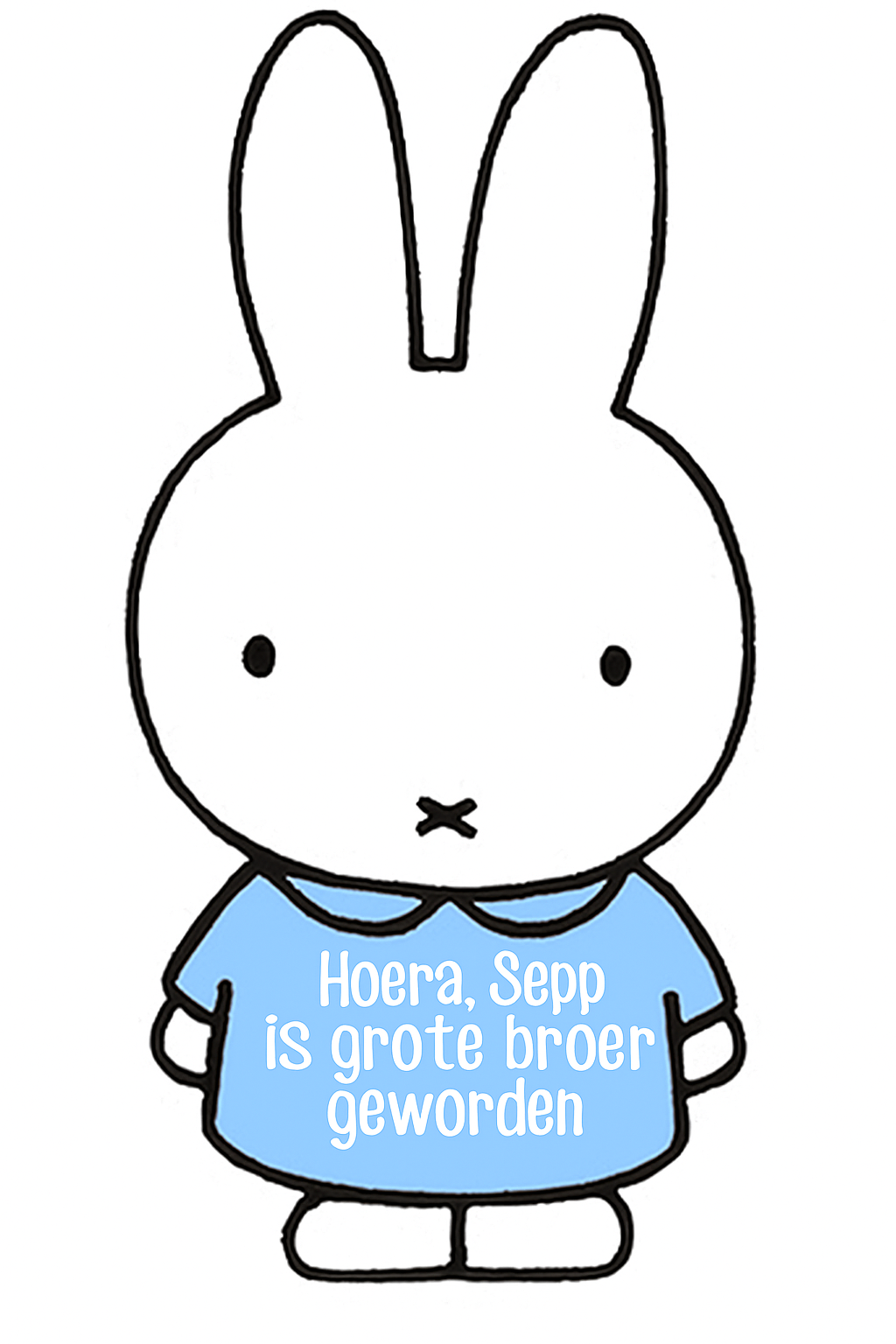 nijntje kaartje