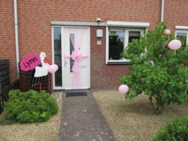Ooievaar