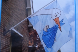 Vlag Blauw