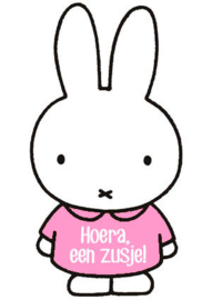 nijntje kaartje