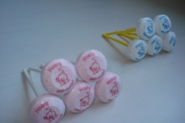 Geboorte lollies (met tekst)