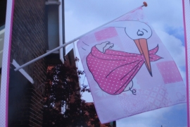 Vlag Roze