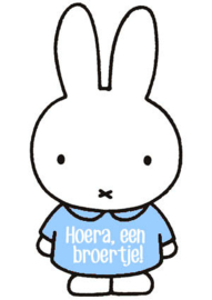 nijntje kaartje