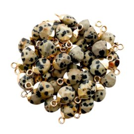 Dalmatian Jasper Gemstone Charm