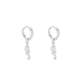 Earrings Sweet Seahorse