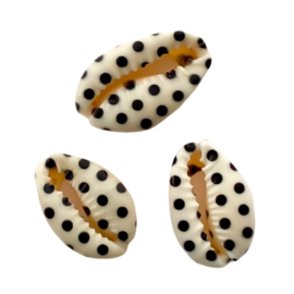 Printed  Cowrie Shell - dots