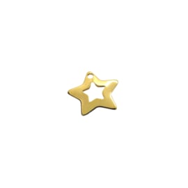 Star Gold Charm Flat