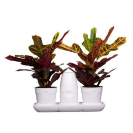 Mini Garden Basic - S