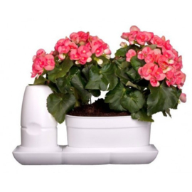 Mini Garden Basic - Uno