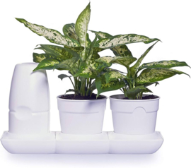 Mini Garden Basic - Uno