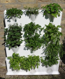 Mini Garden - Planten wand basis set (9 planten) - GROEN/WIT/ZWART