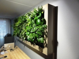 MiniGarden Plantenwand - enkele bak voor 3 planten - GROEN/WIT/ZWART