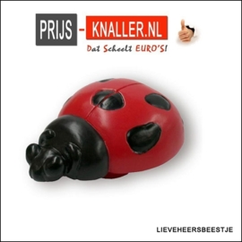 Knop Lieveheersbeestje 38 mm*53 mm rood