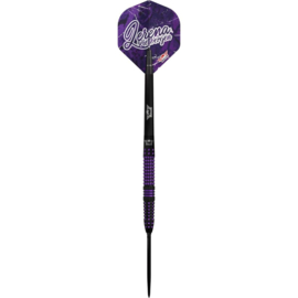 Lerena Rietbergen CP Steeltip 90%