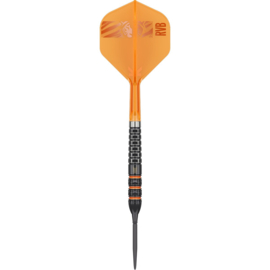 Raymond van Barneveld 95K Swiss Point 95%