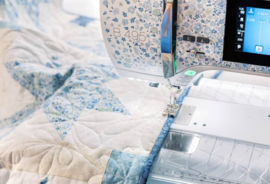 BERNINA 495 Liberty Edition - B495 - B 495 LE