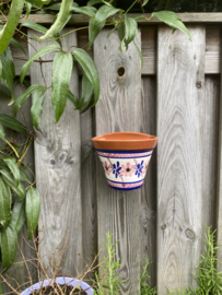 Hangende  bloempot Smilax (klein)