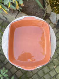 Langwerpige ovenschaal 3-4 pers. (p-aqm)