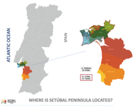 Camolas Rosé Reserva 2023