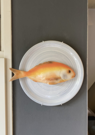 Steengrijs rond bord Ø30cm met geïntegreerde Diepzeeroodbaars + gratis bordenspanner