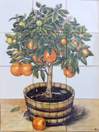 Handbeschilderd tegelpaneel Citrus sinensis (12 tegels 14x14cm)