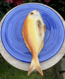 Diepzeeblauw rond bord Ø30cm met geïntegreerde Diepzeeroodbaars + gratis bordenspanner